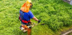 Spring and fall cleanup debris removal