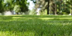 Lawn mowing service residential